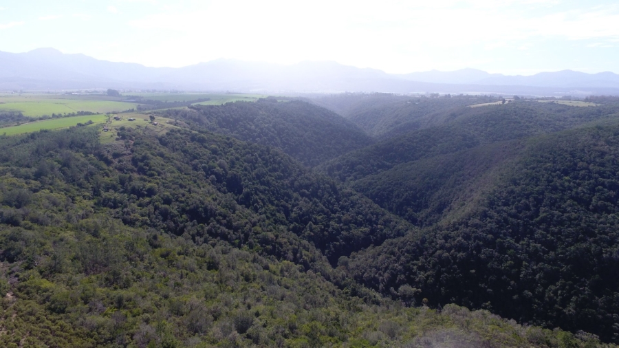  Bedroom Property for Sale in Knysna Rural Western Cape